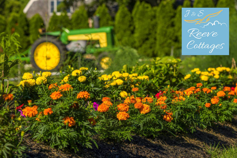 Meticulous kept Gardens at our Waterfront Vacation Rentals by J&S Reeve Cottages