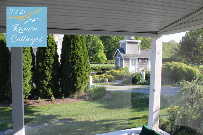 Cozy Waterfront Cottage 4 property view from screened-in porch