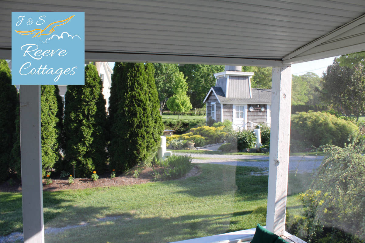 Cozy Waterfront Cottage 4 property view from screened-in porch