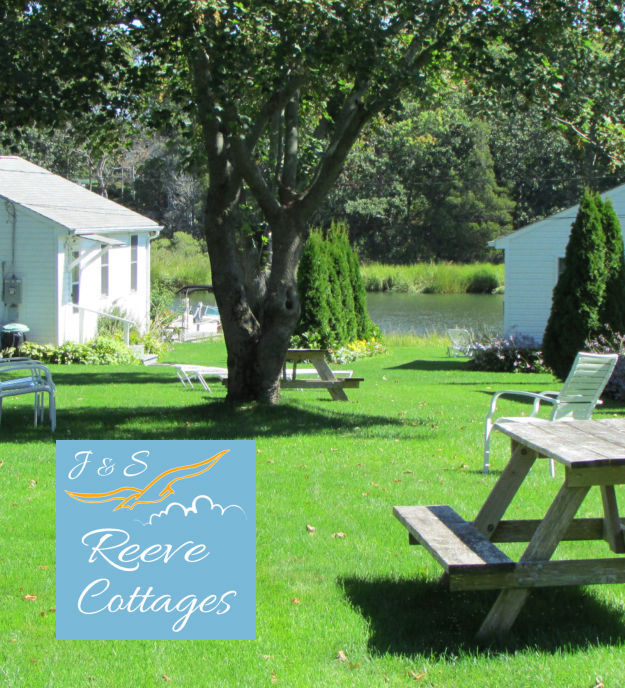 Cozy Waterfront Vacation Rental Cottage 6 Backyard View